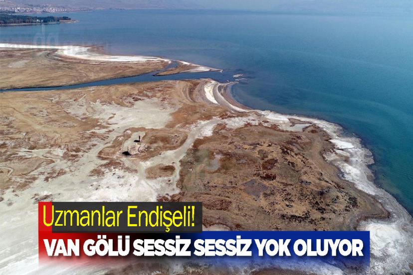 Uzmanlar Endişeli! Van Gölü Sessiz Sessiz Yok Oluyor
