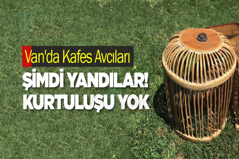Van'da Kafes Avcıları Şimdi Yandılar! Kurtuluşu yok