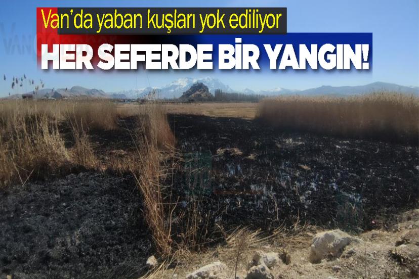 Van’da yaban kuşları yok ediliyor
