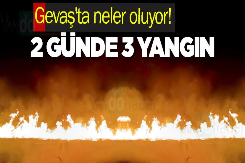 Gevaş'ta neler oluyor! 2 günde 3 yangın