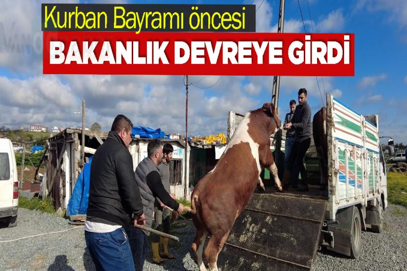 Kurban Bayramı öncesi Bakanlık devreye girdi