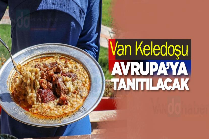 Van Keledoşu Avrupa’ya tanıtılacak