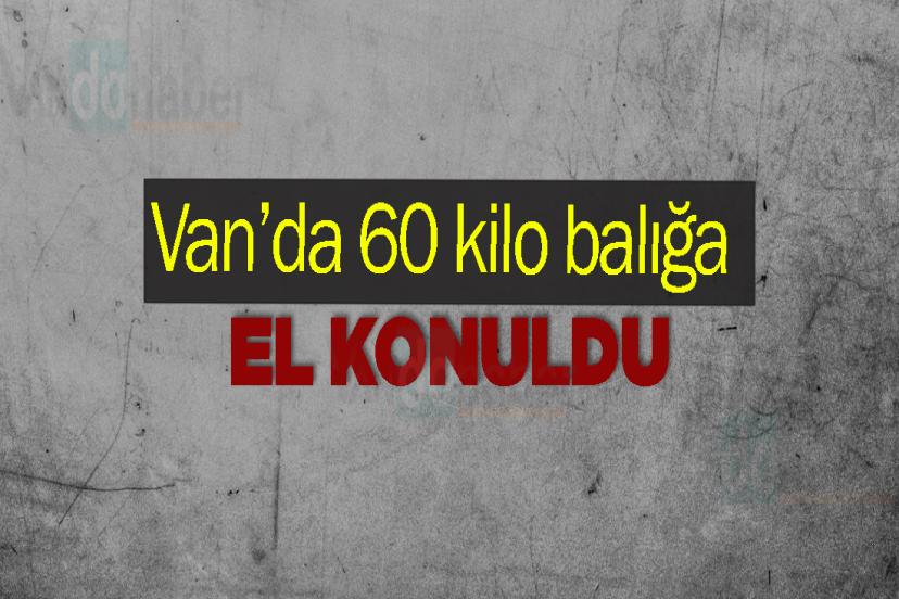 Van’da 60 kilo balığa el konuldu
