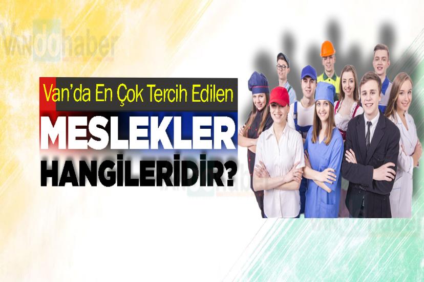 Van’da En Çok Tercih Edilen Meslekler Hangileridir?