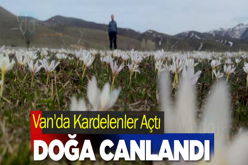 Van'da Kardelenler Açtı, Doğa Canlandı