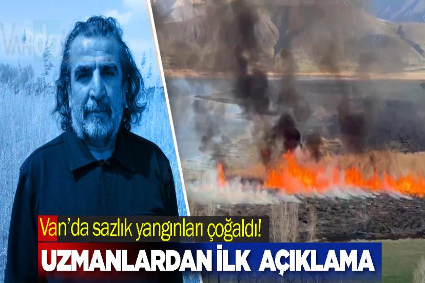 Van’da sazlık yangınları çoğaldı! Uzmanlardan ilk açıklama