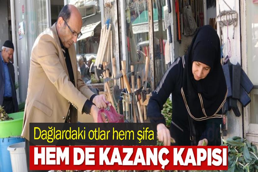 Dağlardaki otlar hem şifa hem de kazanç kapısı