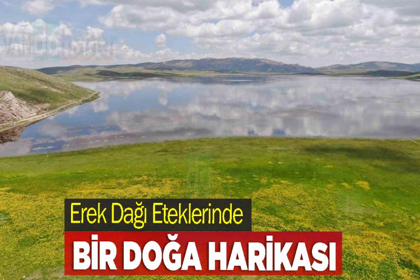 Erek Dağı Eteklerinde Bir Doğa Harikası