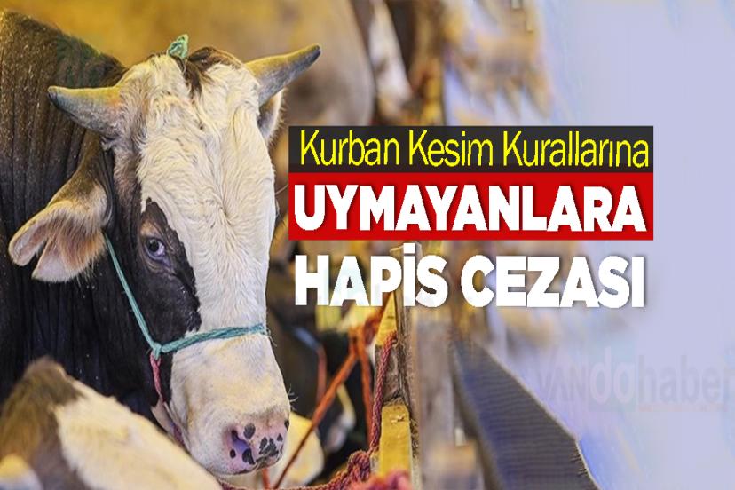 Kurban Kesim Kurallarına Uymayanlara Hapis Cezası