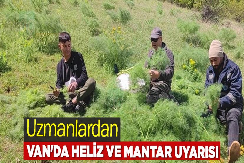 Uzmanlardan Van'da Heliz ve Mantar Uyarısı