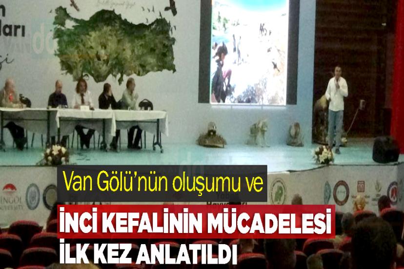 Van Gölü’nün oluşumu ve inci kefalinin mücadelesi ilk kez anlatıldı
