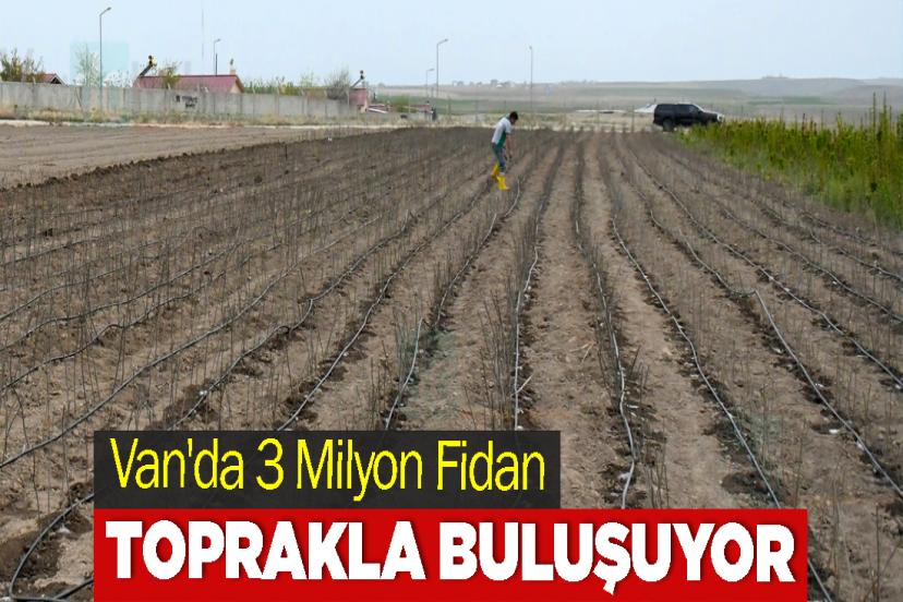 Van'da 3 Milyon Fidan Toprakla Buluşuyor