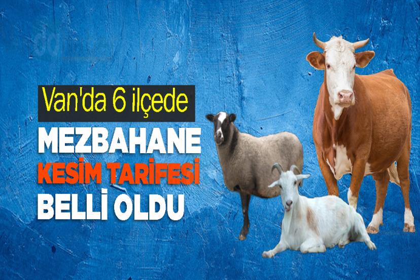 Van'da 6 ilçede mezbahane kesim tarifesi belli oldu