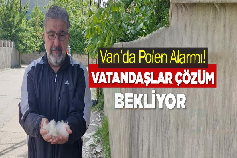 Van’da Polen Alarmı! Vatandaşlar Çözüm Bekliyor