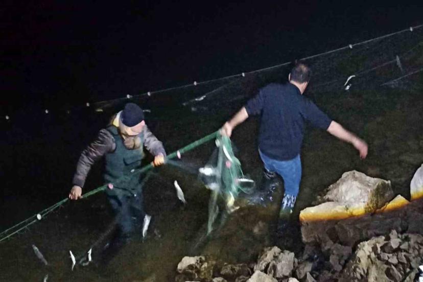 Van’da 5 ton 650 kilo inci kefaline el konuldu