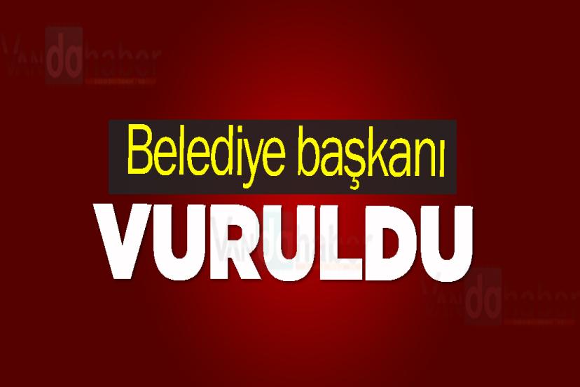 Belediye başkanı vuruldu