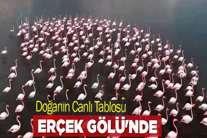 Doğanın Canlı Tablosu Erçek Gölü'nde