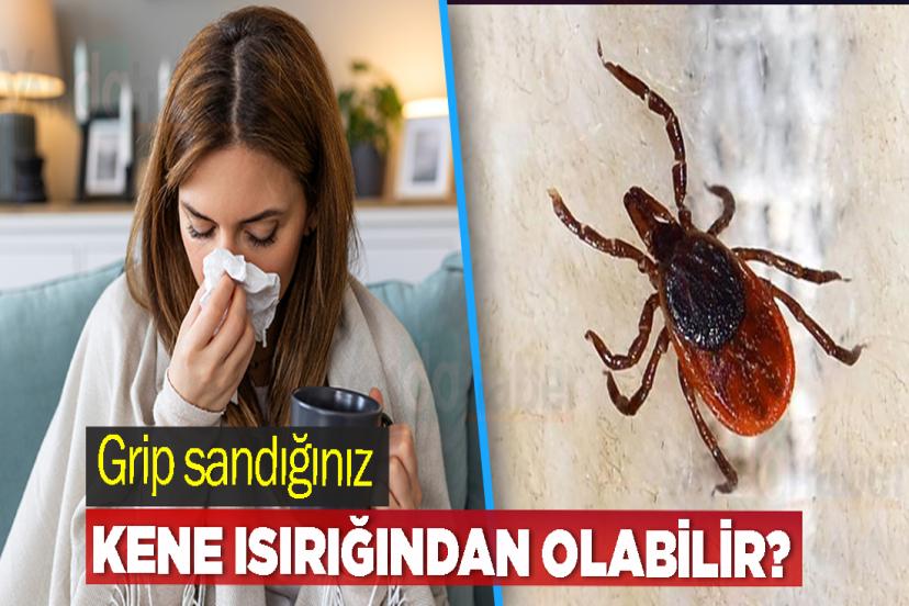 Grip sandığınız kene ısırığından olabilir