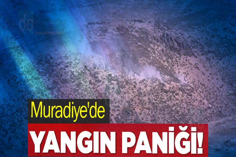 Muradiye'de Yangın Paniği!