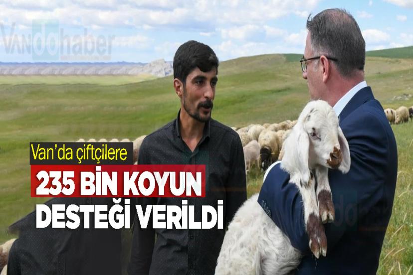 Van’da çiftçilere 235 bin koyun desteği verildi