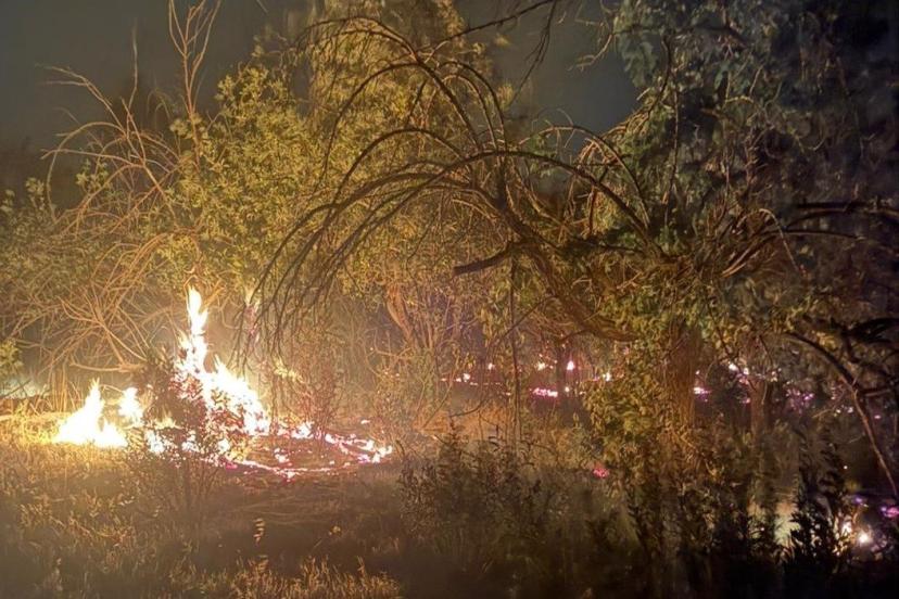 Mersin’de üç noktada çıkan yangın çıktı