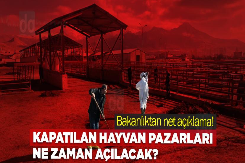 Bakanlıktan net açıklama! Kapatılan hayvan pazarları ne zaman açılacak?