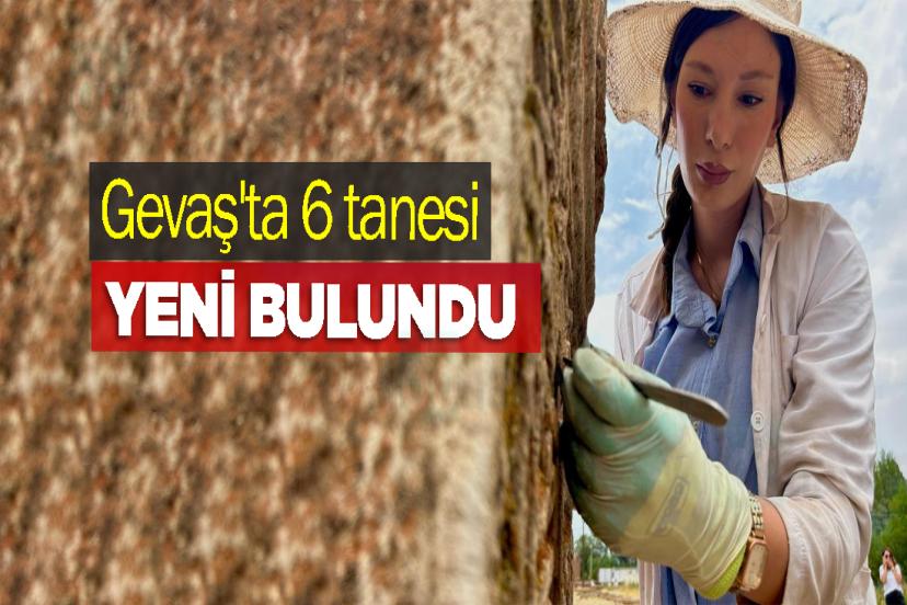 Gevaş'ta 6 tanesi yeni bulundu