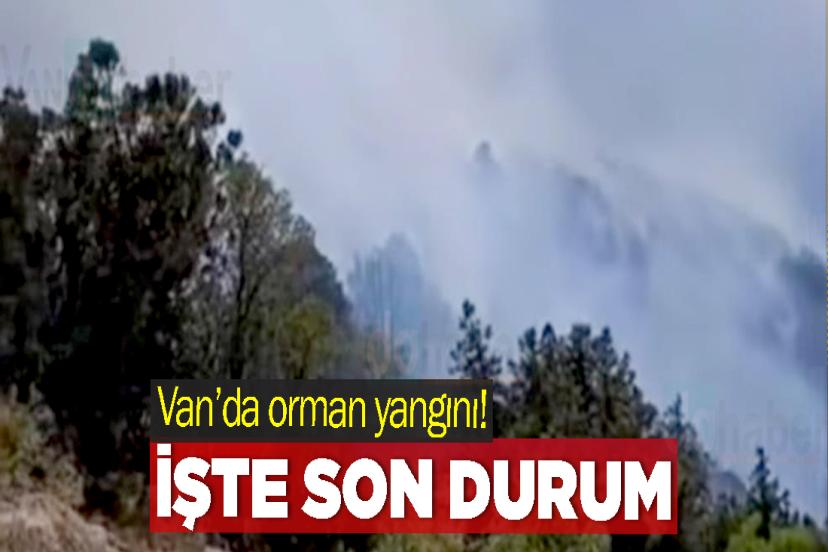 Van’da orman yangını! İşte son durum
