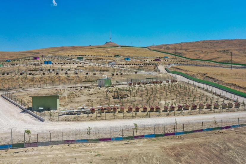 Doğal Yaşam Alanına 20 Bin Ağaç Dikti