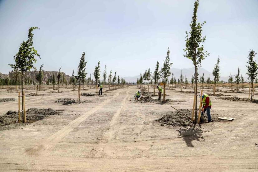 Van Büyükşehir Belediyesi Ihlamur Parkı’yla kente renk katacak
