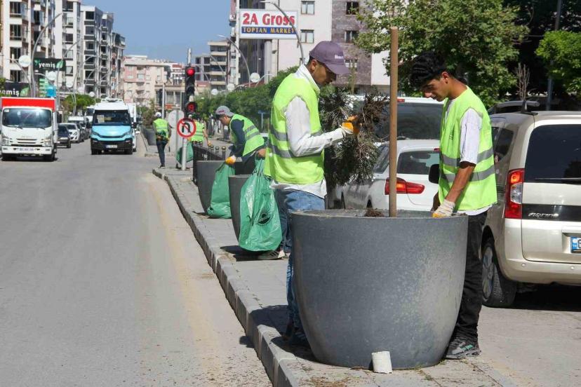 Van Büyükşehir Belediyesinden yeşil alanlarda yoğun mesai