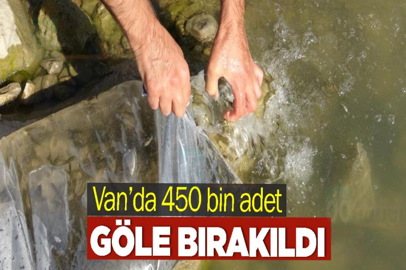 Van’da 450 bin adet göle bırakıldı
