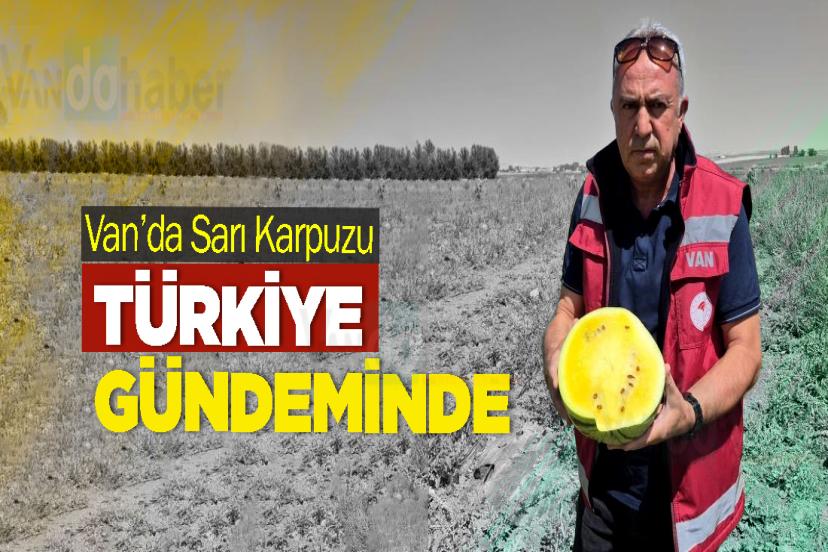 Van’da Sarı Karpuzu Türkiye Gündeminde