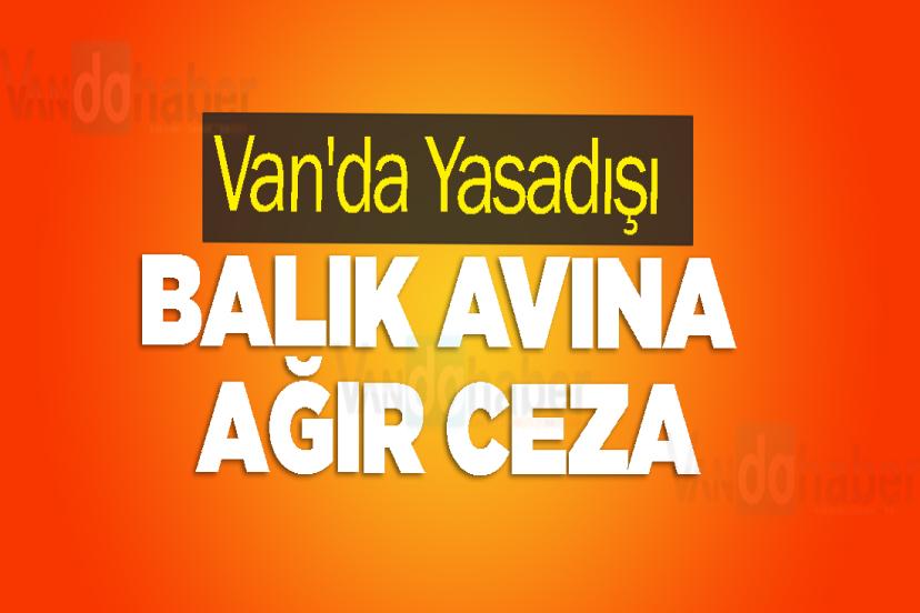 Van'da Yasadışı Balık Avına Ağır Ceza
