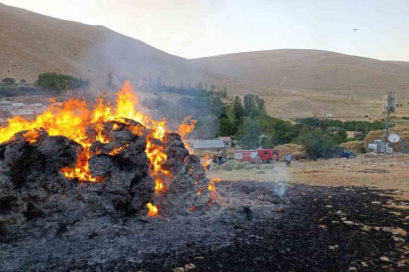 Gevaş’ta ot yangını