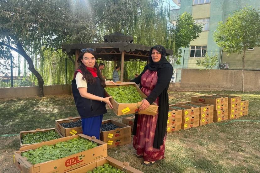 TAKE Projesi Şırnak'ta Yüz Güldürdü