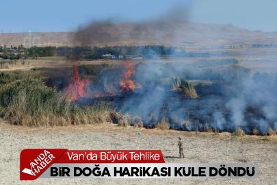 Van’da Bir Doğa Harikası Küle Döndü