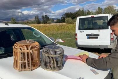 Van'da Kafes Avcısına Rekor Ceza