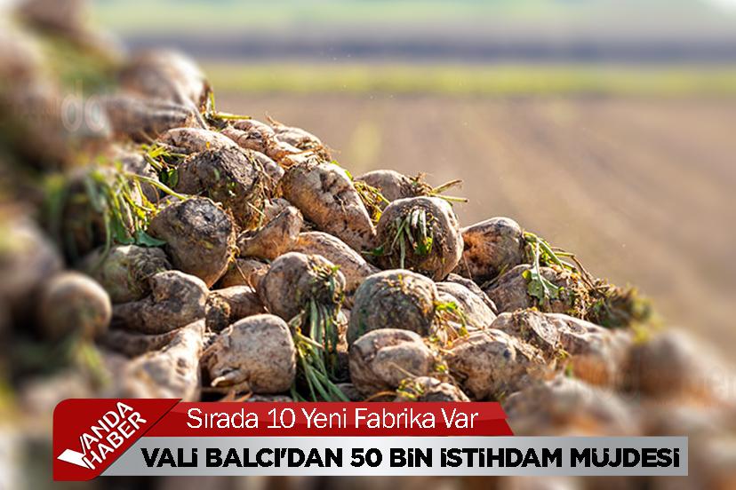 Van'da şeker pancarı alım kampanyası