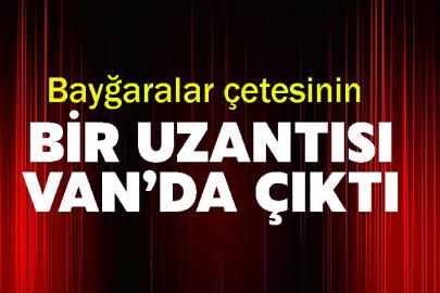 Bayğaralar çetesinin bir uzantısı Van’da çıktı