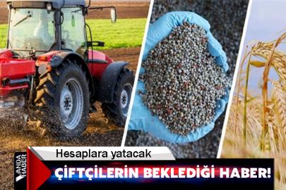 Çiftçilerin beklediği haber! Hesaplara yatacak