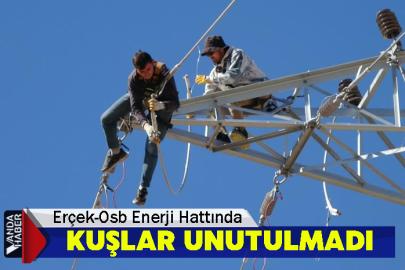Erçek-Osb Enerji Hattında Kuşlar Unutulmadı