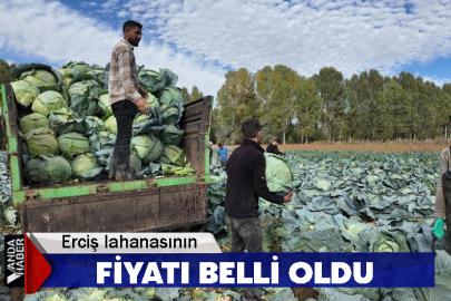 Erciş lahanasının fiyatı belli oldu
