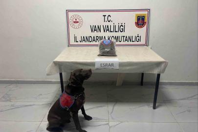 Hakkari’de kubar esrar ele geçirildi