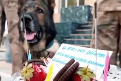 Jandarmadan ‘can dostlara’ özel kutlama