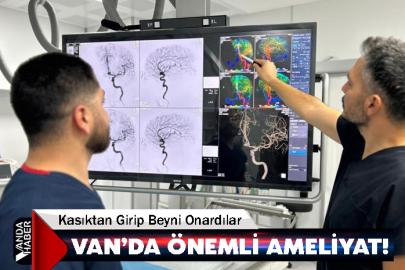 Kasıktan Girip Beyni Onardılar! Van'da önemli ameliyat