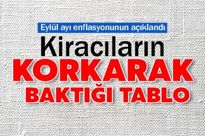 Kiracıların Korkarak Baktığı Tablo