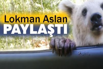 Lokman Aslan paylaştı