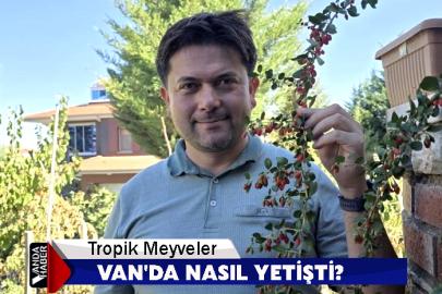 Tropik Meyveler Van'da Nasıl Yetişti?