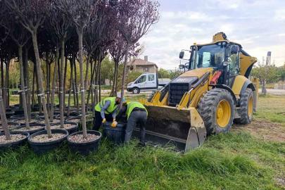 Van Büyükşehir Belediyesinden yeşillendirme çalışması